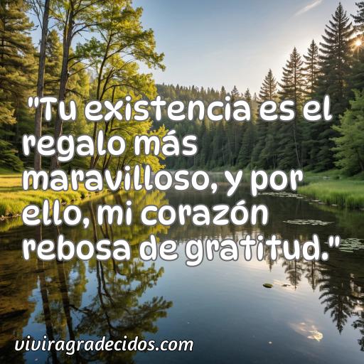 Cincuenta Mejores Frases de agradecimiento de Mr Wonderful